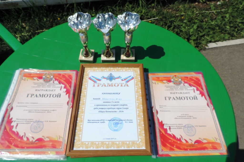 vdpo samara вдпо самара Самарское областное отделение
